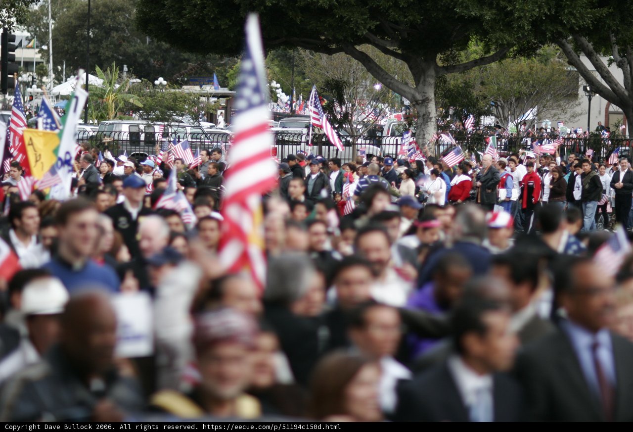 Patriotic Crowds on a Parade