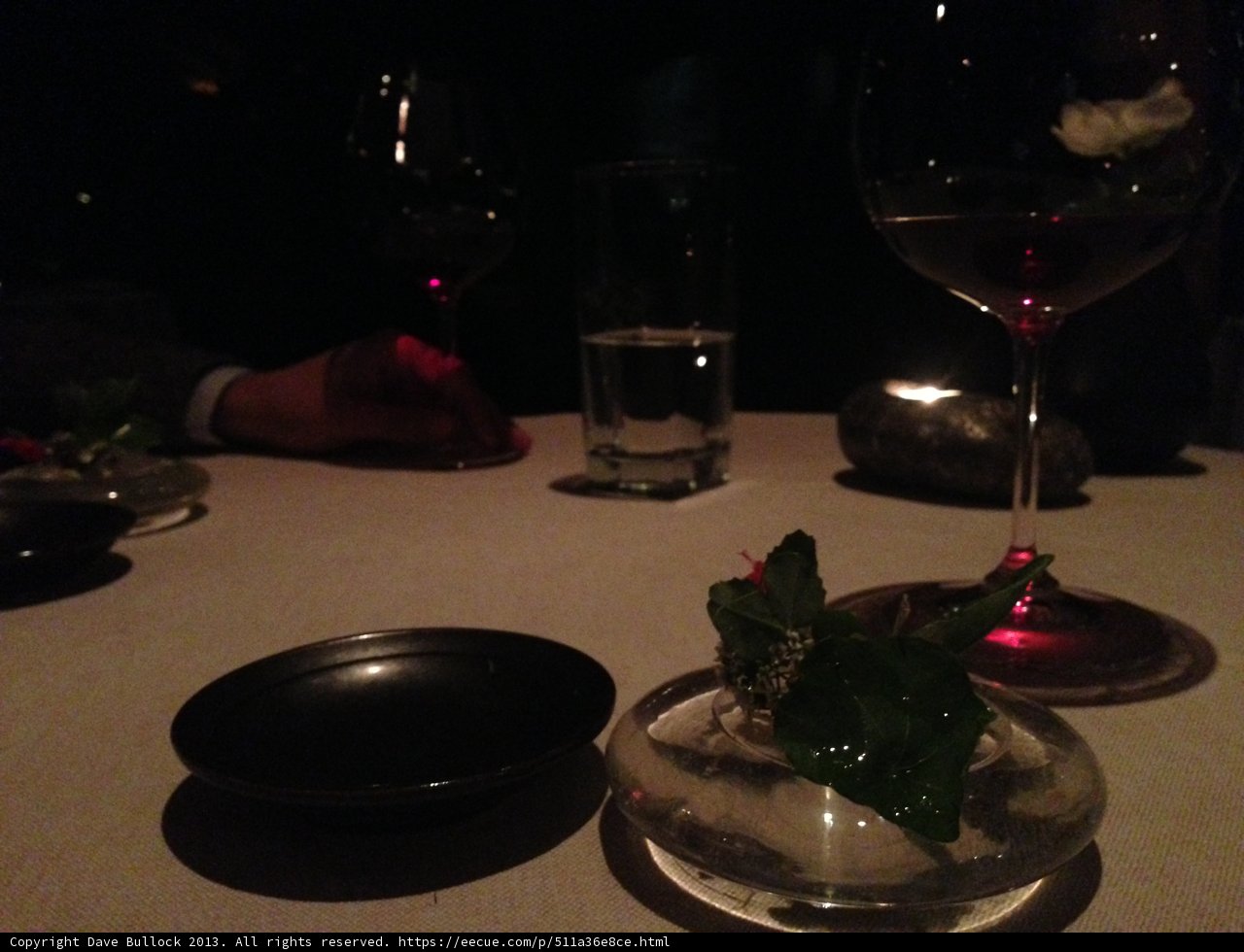 A Sophisticated Dinner Companion