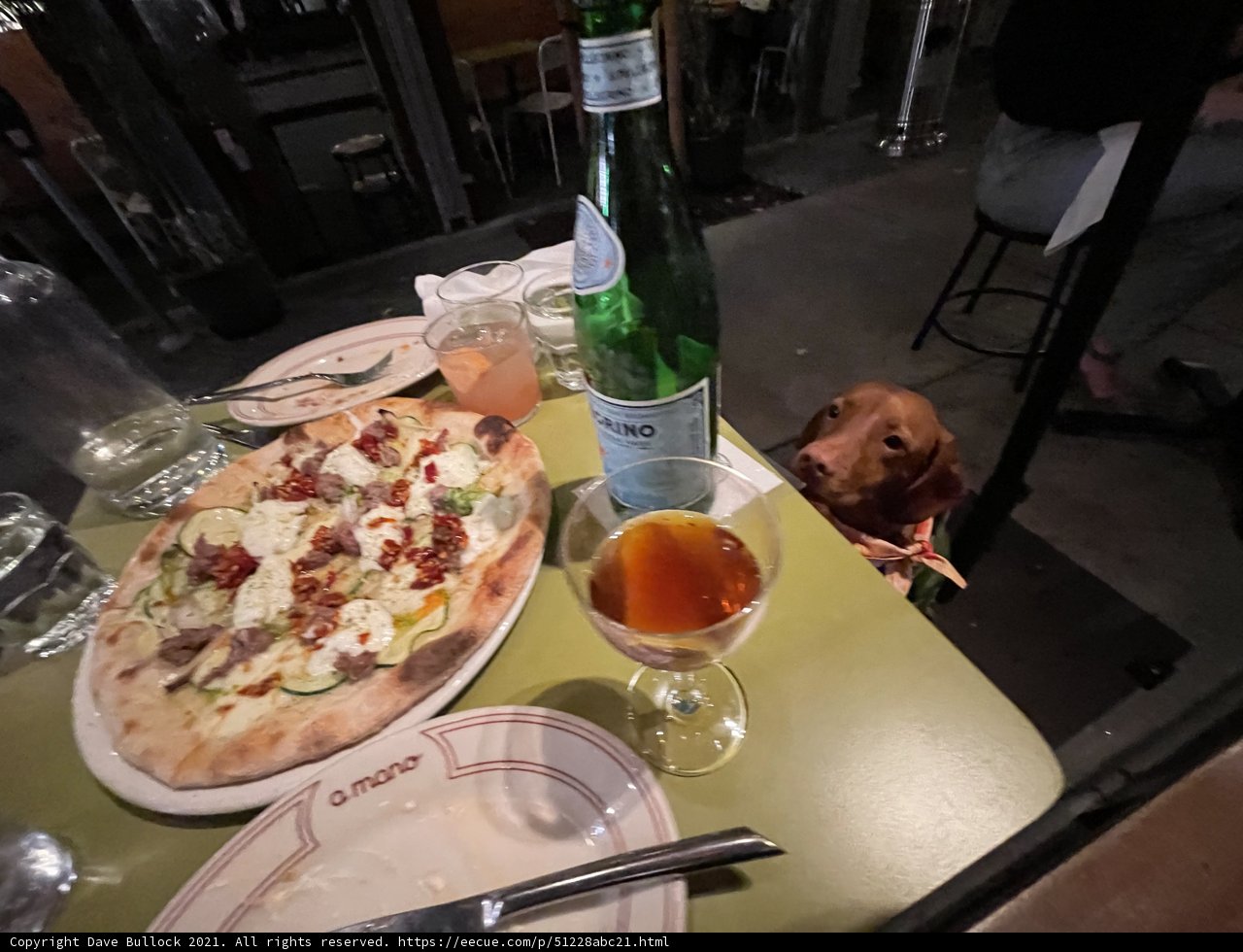 Fine Dining with Fido