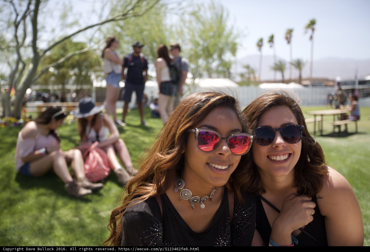 Sunglasses in the Grass
