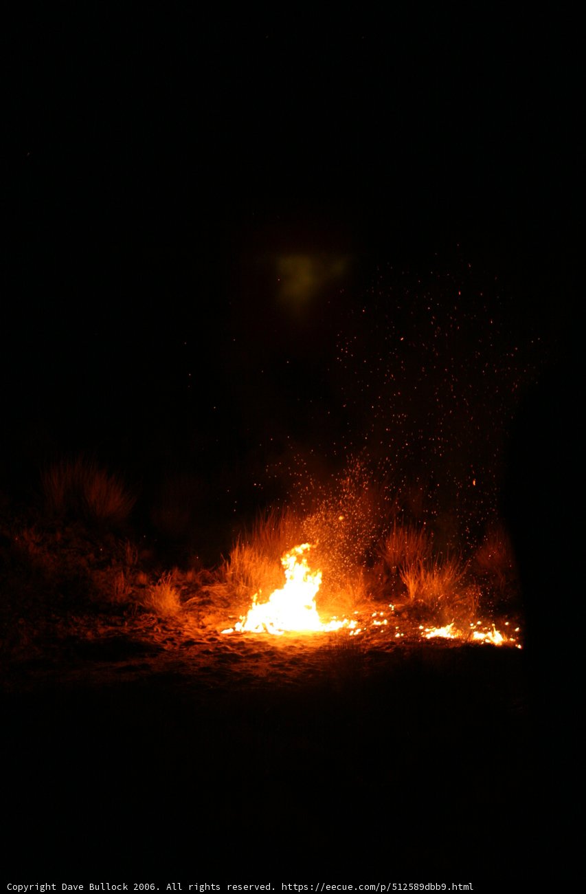 Nighttime Bonfire