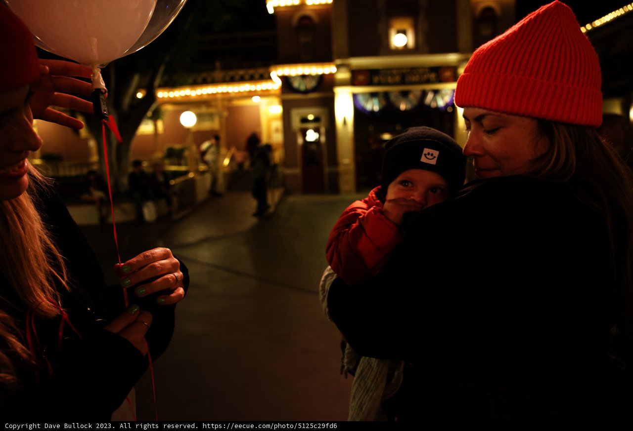 Magical Moments at Disneyland