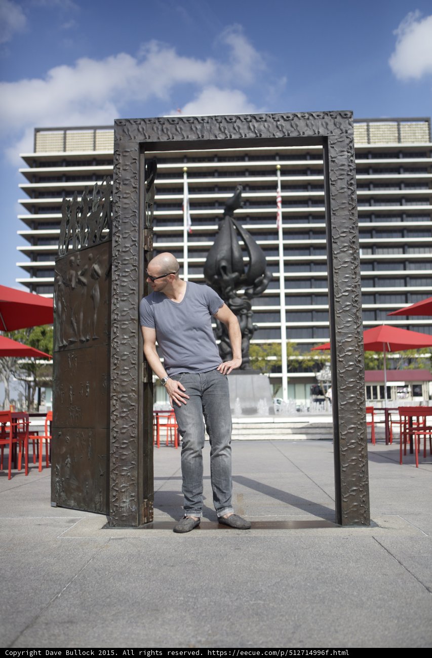 Leaning on Bronze Door