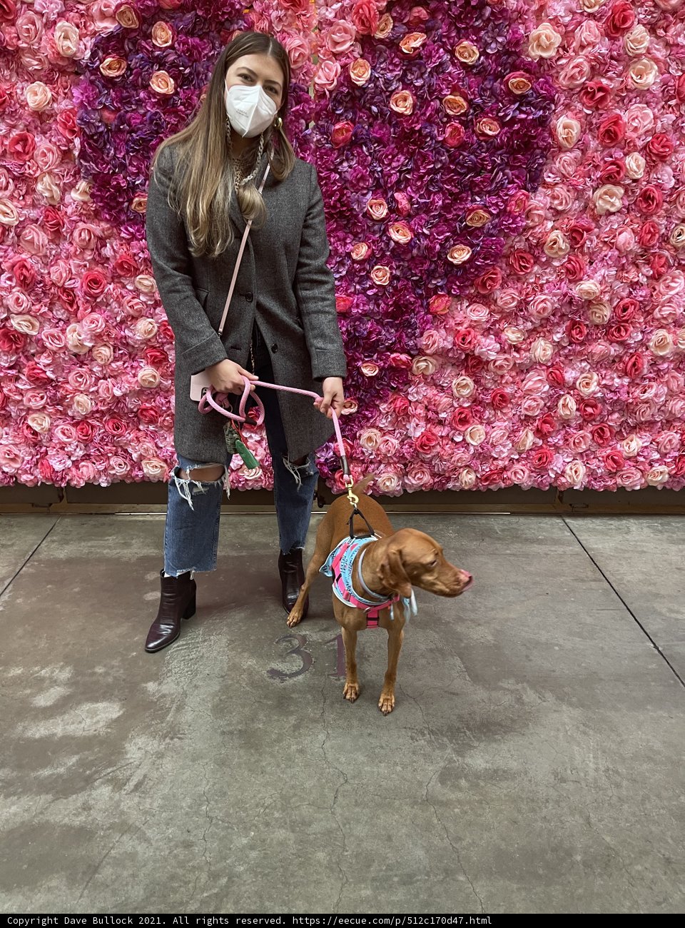 Wall of Flowers Walk