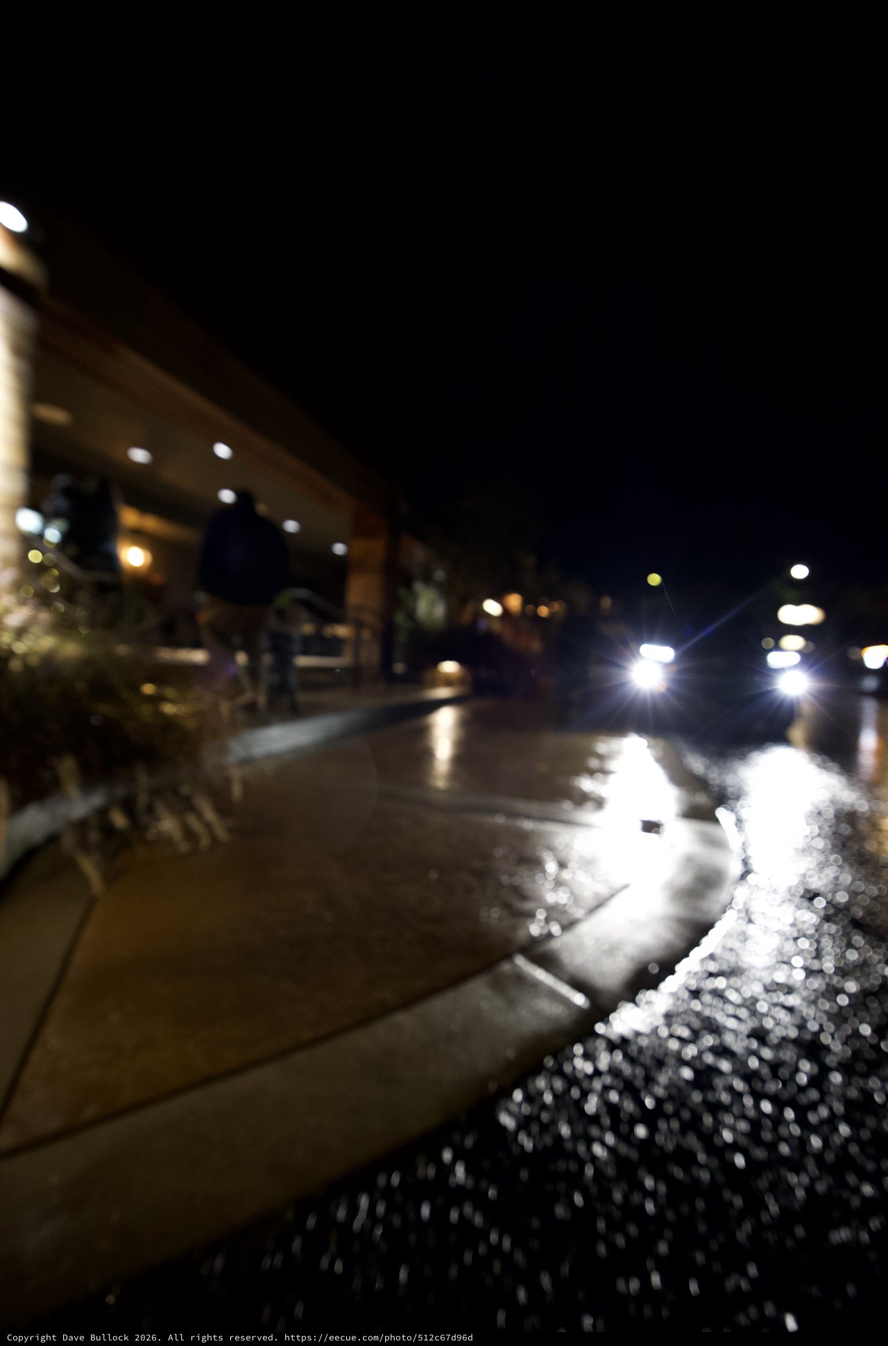 Rainy Night Street Scene in San Luis Obispo