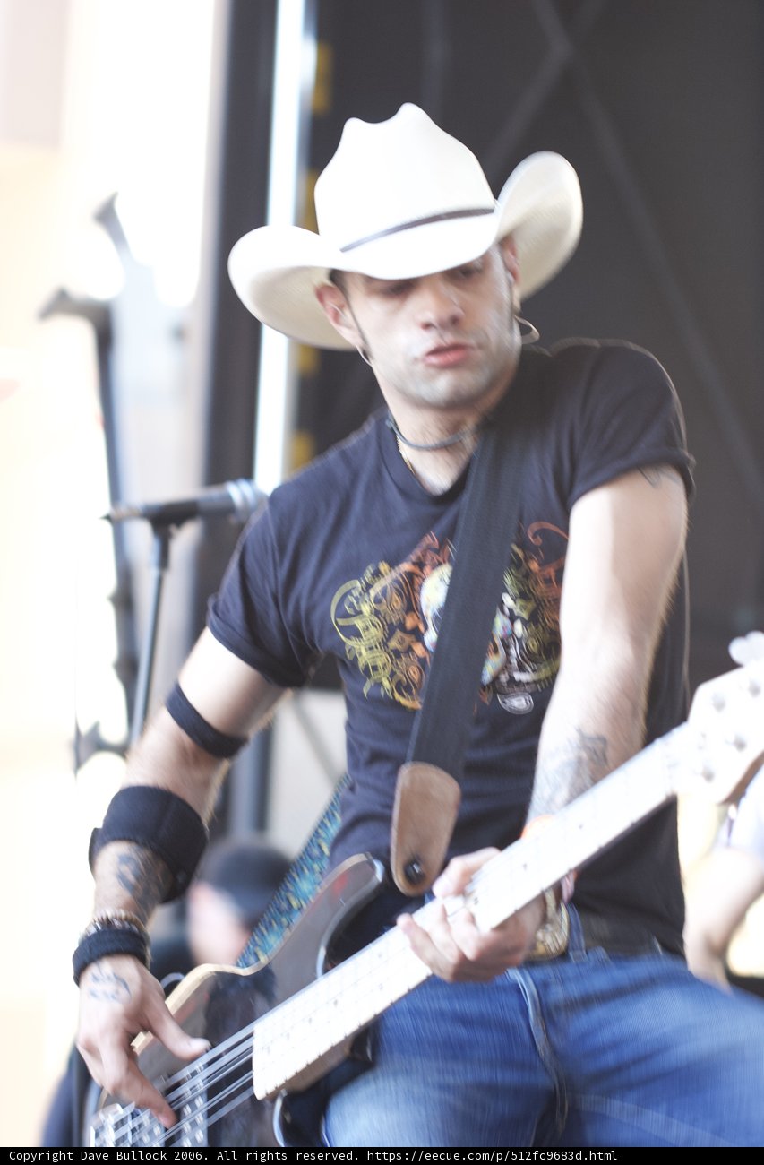 The Guitarist in Black