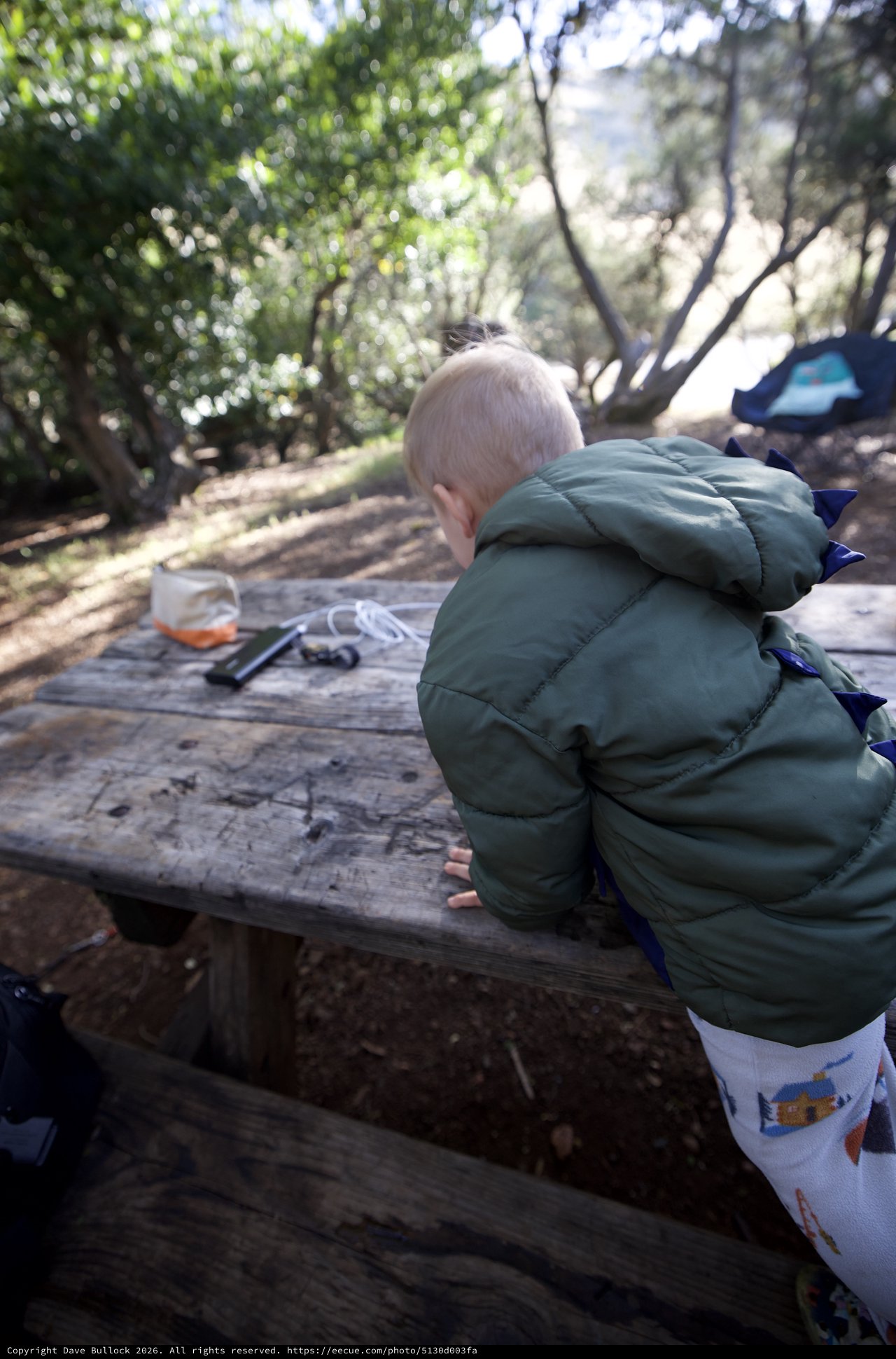 Little Explorer at Campsite Picnic Table