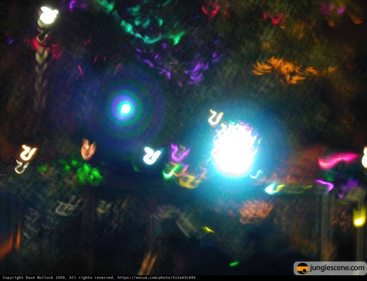 Gleaming Disco Nights