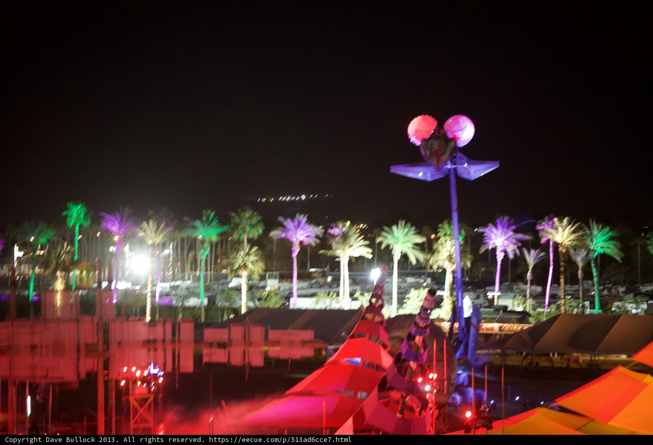 Vibrant Light Show Amongst Palm Trees