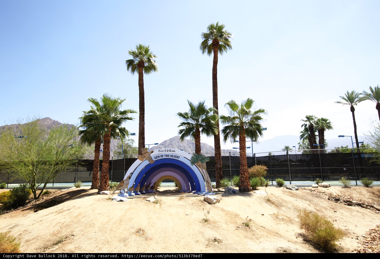 Oasis in the Desert
