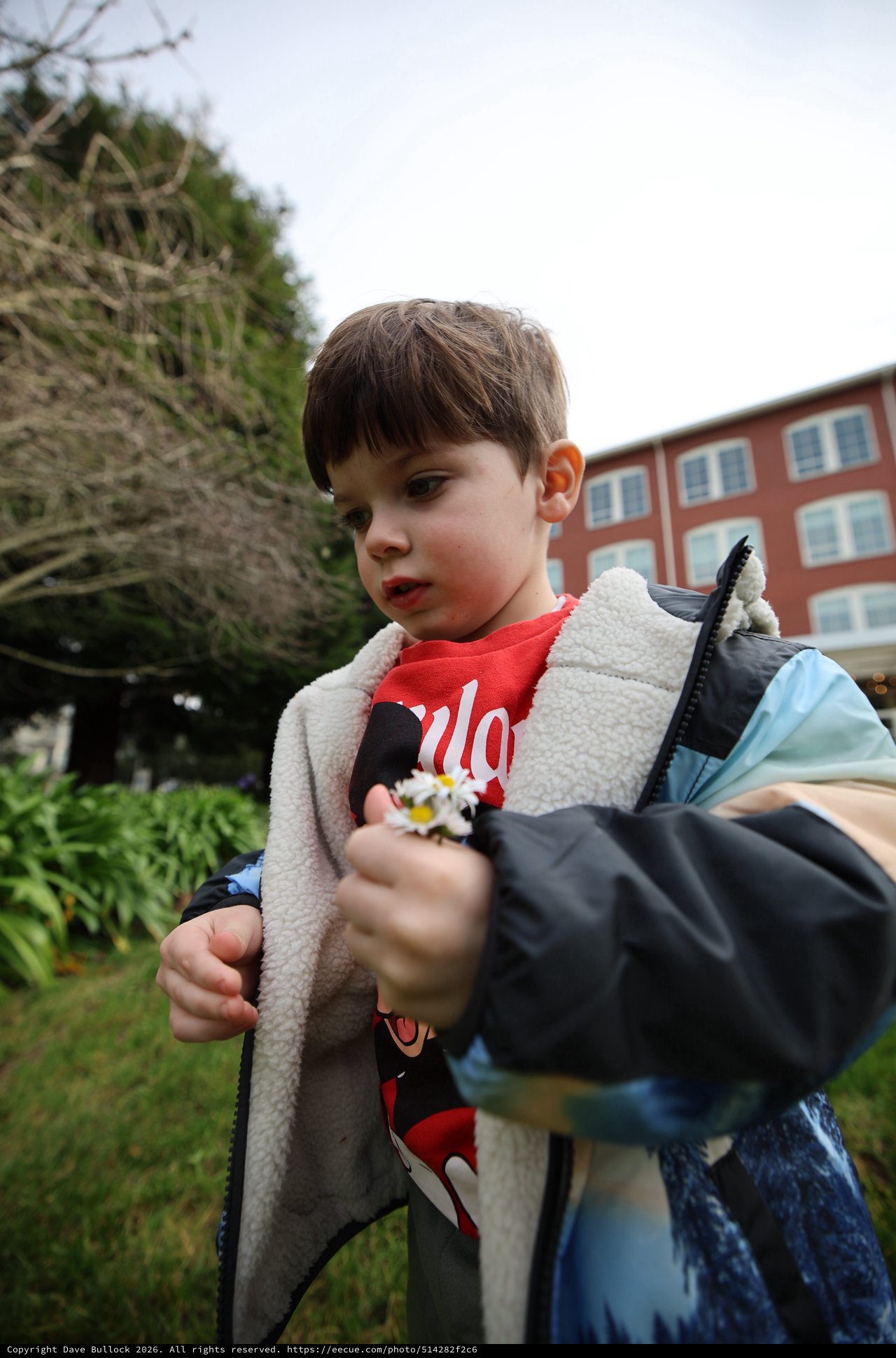 Young Child Offering Daisy Flowers at Urban Park