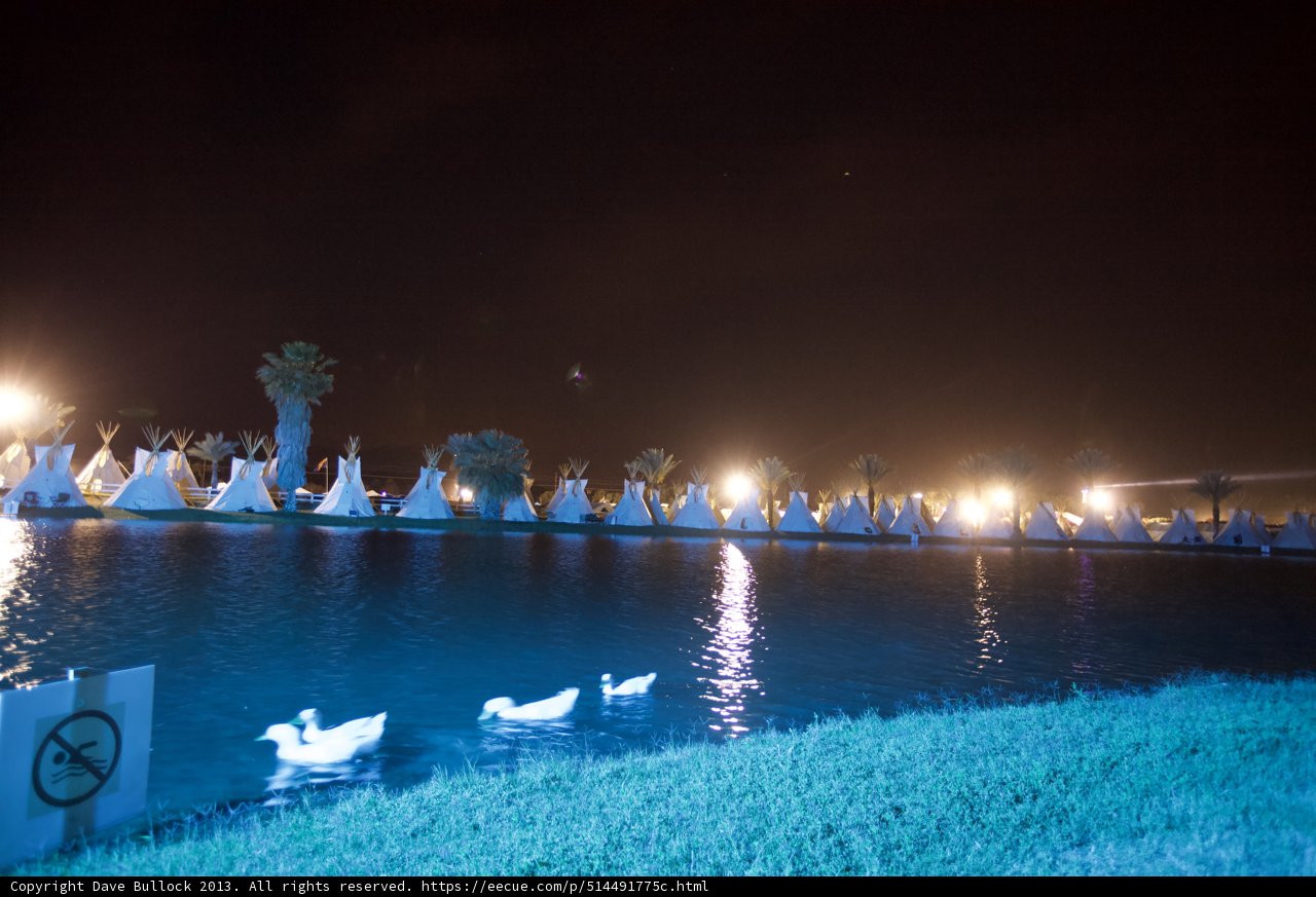 Nighttime Ducks at Resort