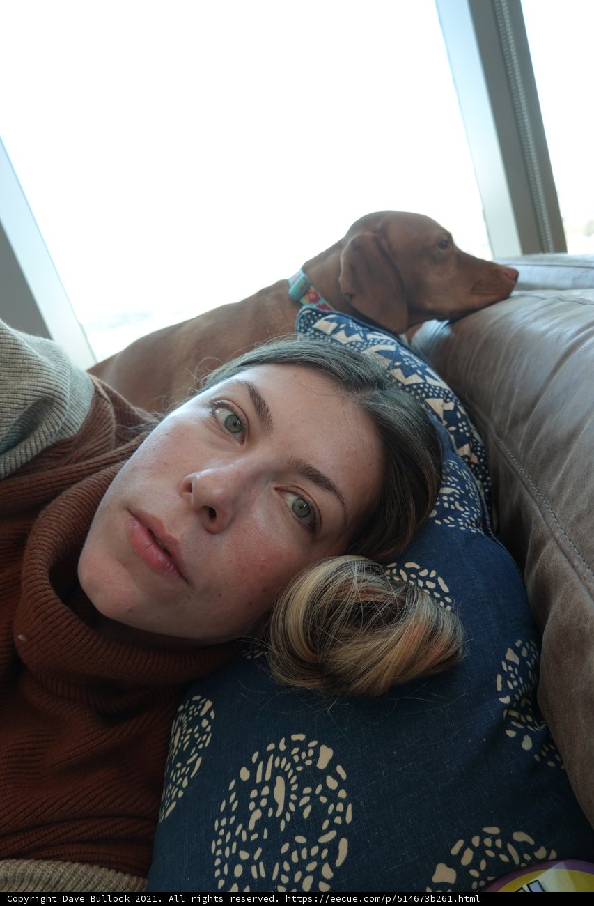 Comfort and Companionship