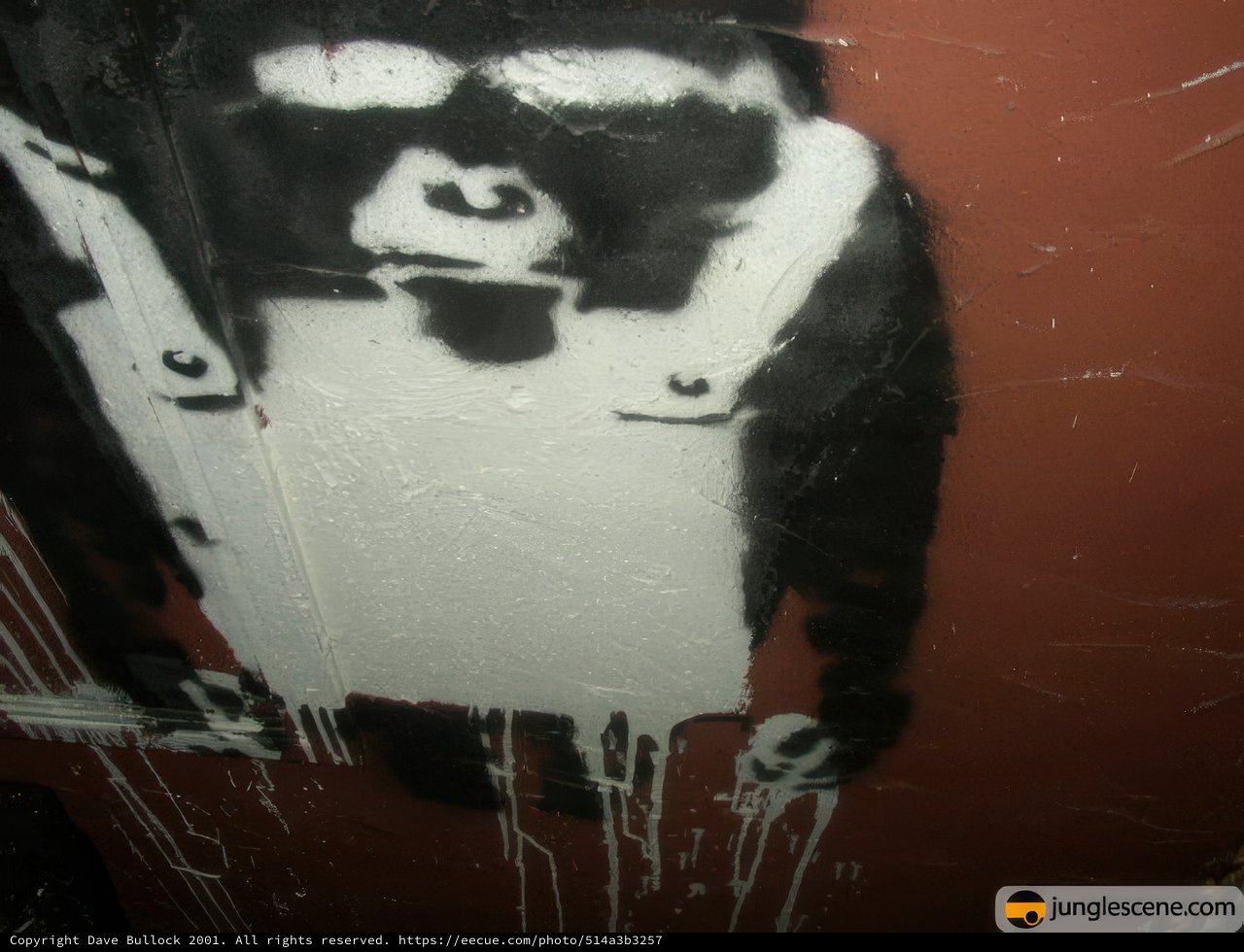 The Artistic Ape