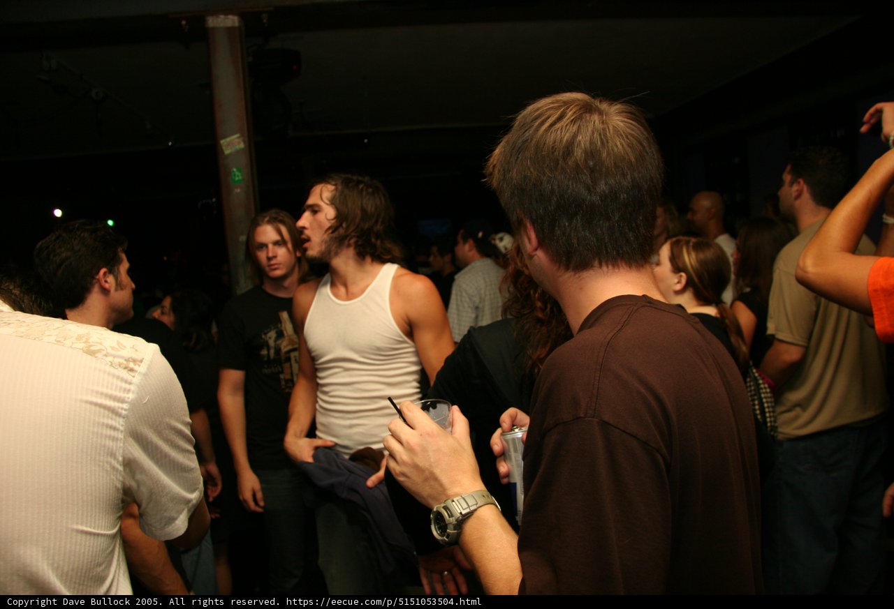 Nightclub Gathering