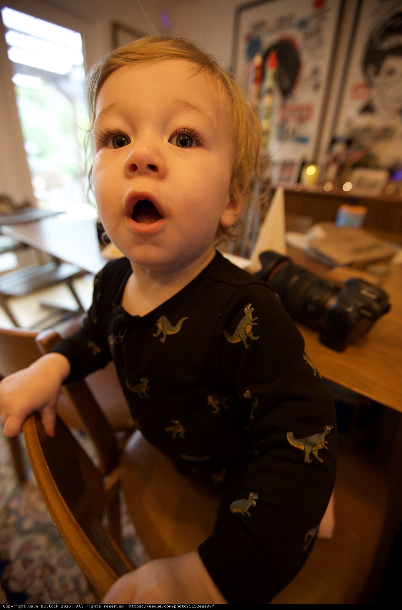 Toddler in Dinosaur Pajamas Shows Surprise Expression