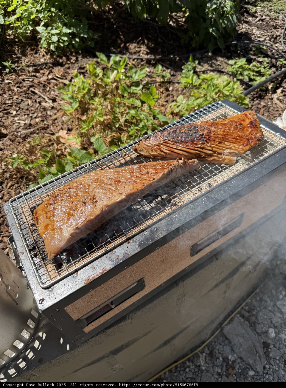 Smoky Summer Grills