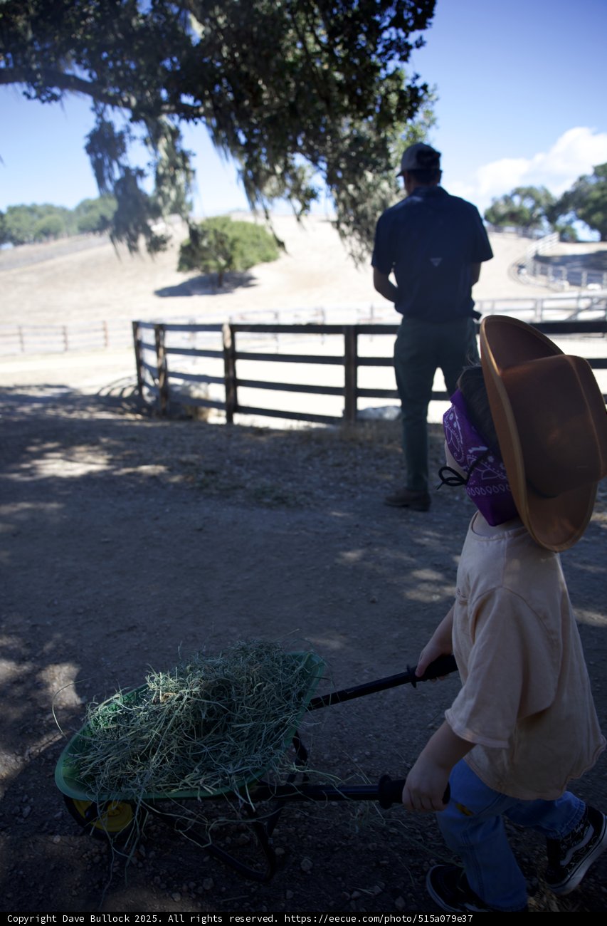 Little Ranch Hands at Work