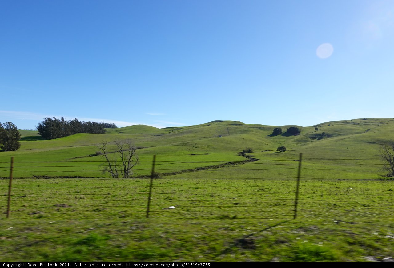 Serene Pasture View