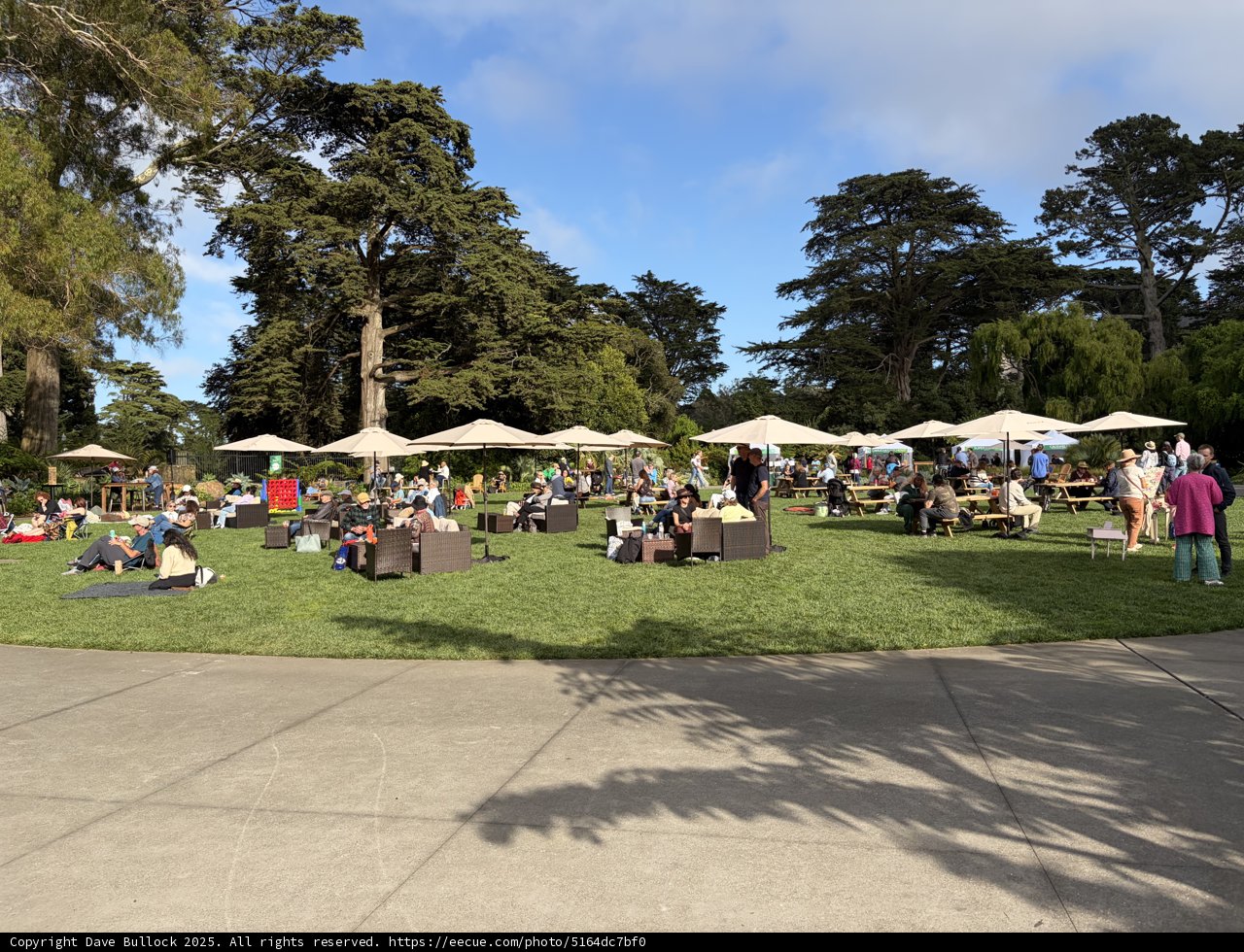 A Vibrant Day in the Park