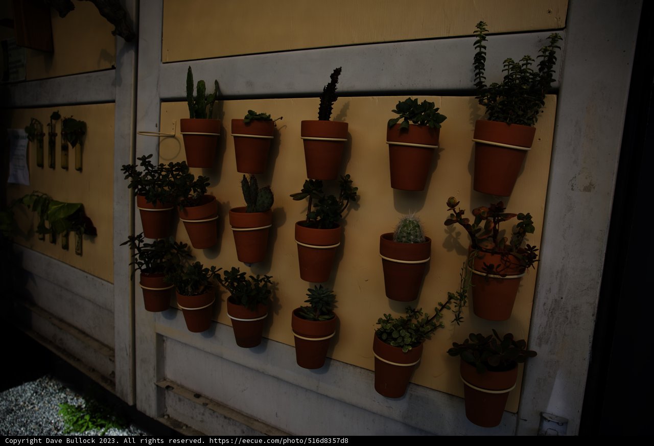Urban Oasis: Wall of Greenery in San Francisco
