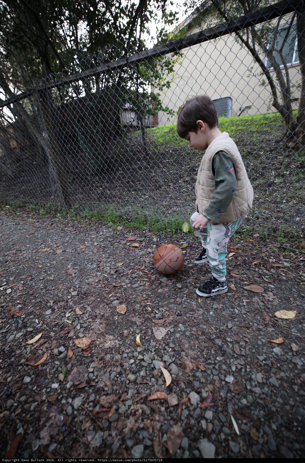 Young Child Playing Basketball in Backyard