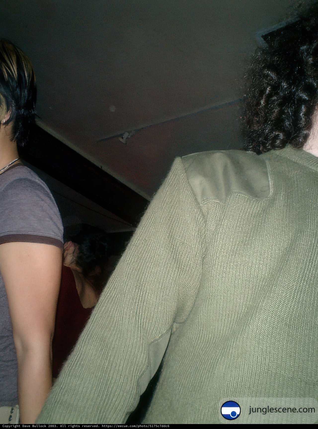 Grey-Shirted Man with Two Women and Jewelry
