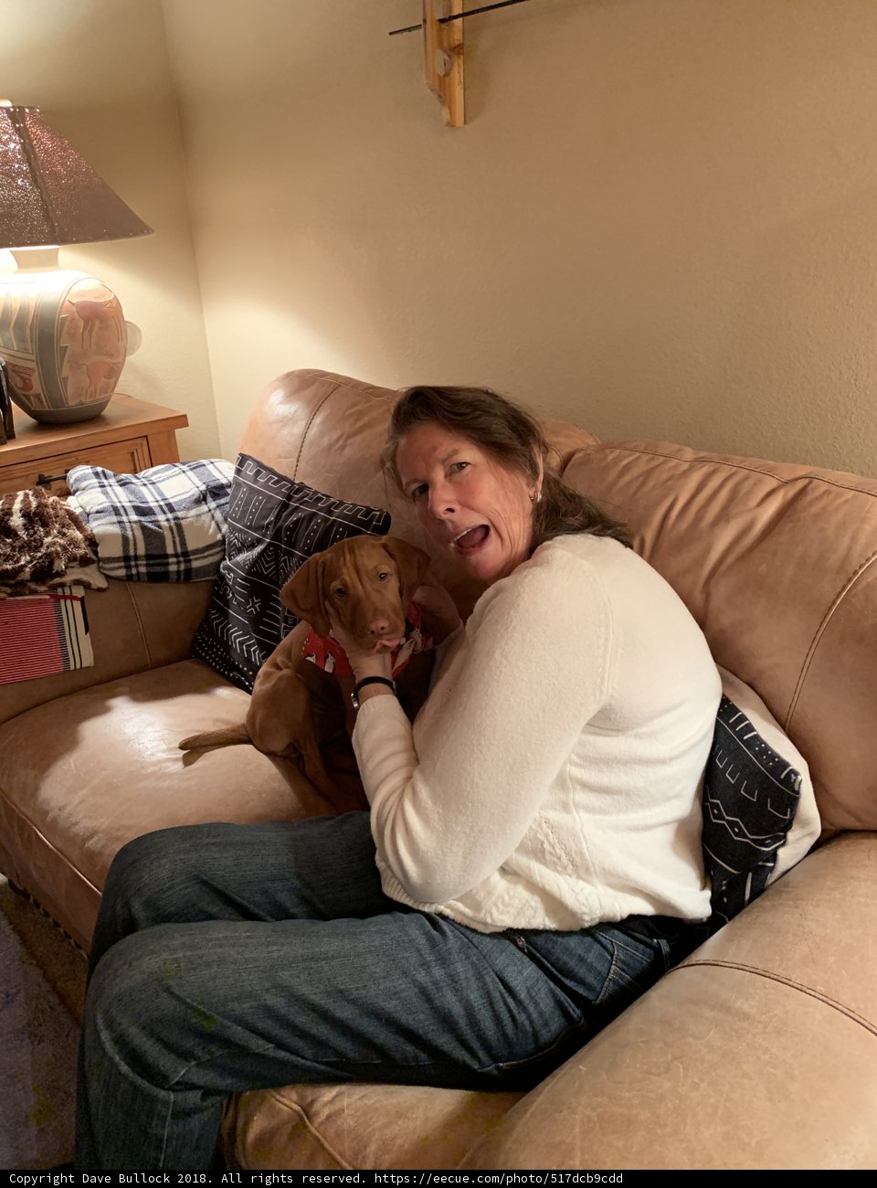 Cozy Night In with Furry Friend