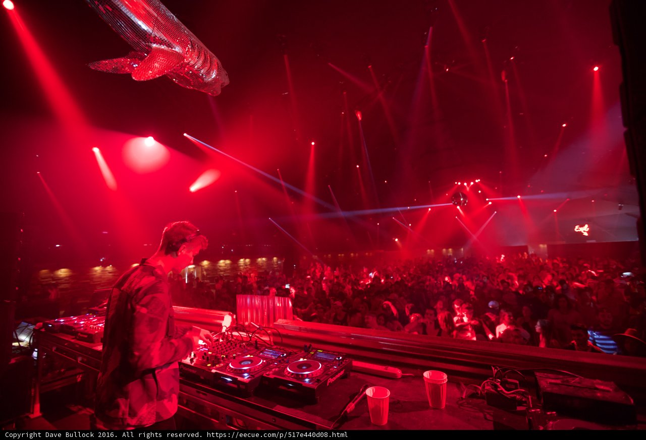 Nightlife Groove