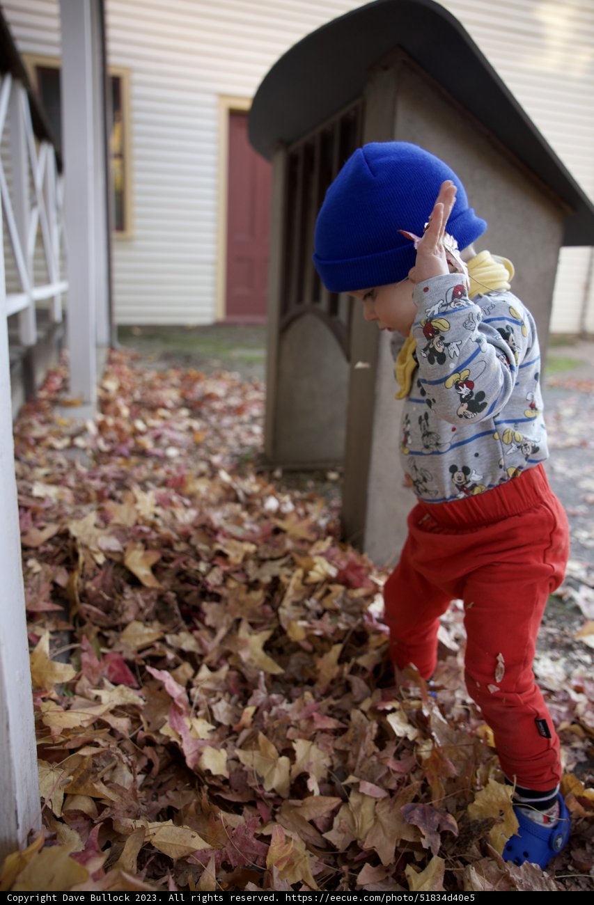 Autumn Adventures in Downtown Sonoma