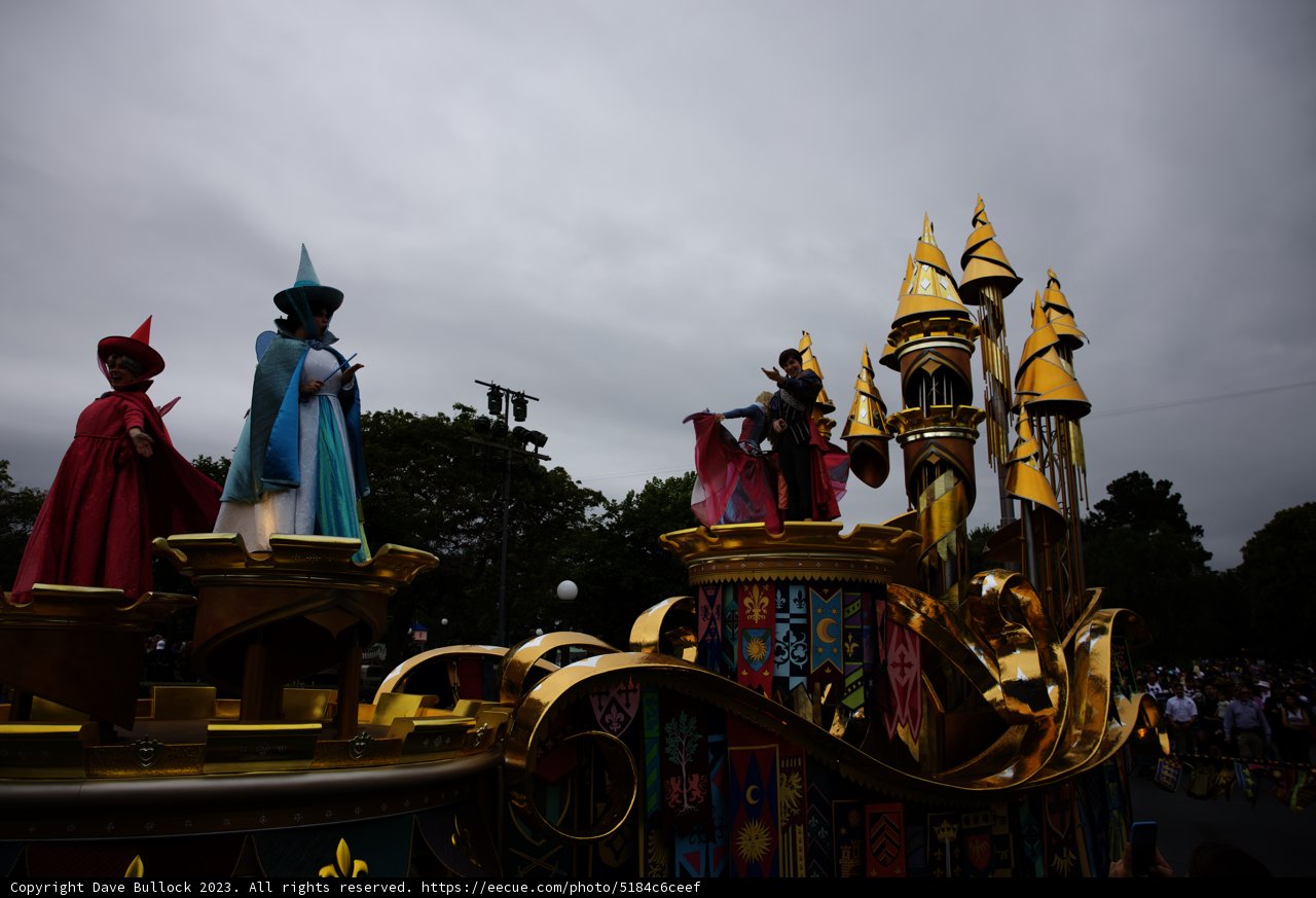 Magical Disneyland Parade Experience