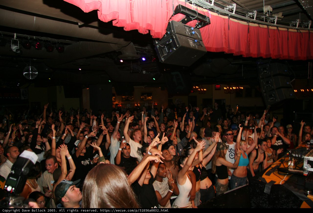 The Ultimate Nightlife Experience