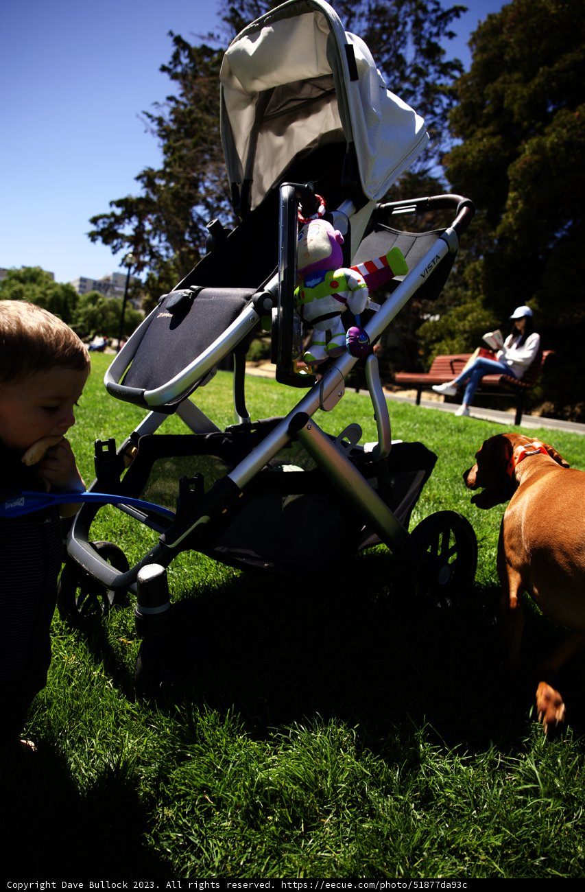 Summer Morning at Dolores Park