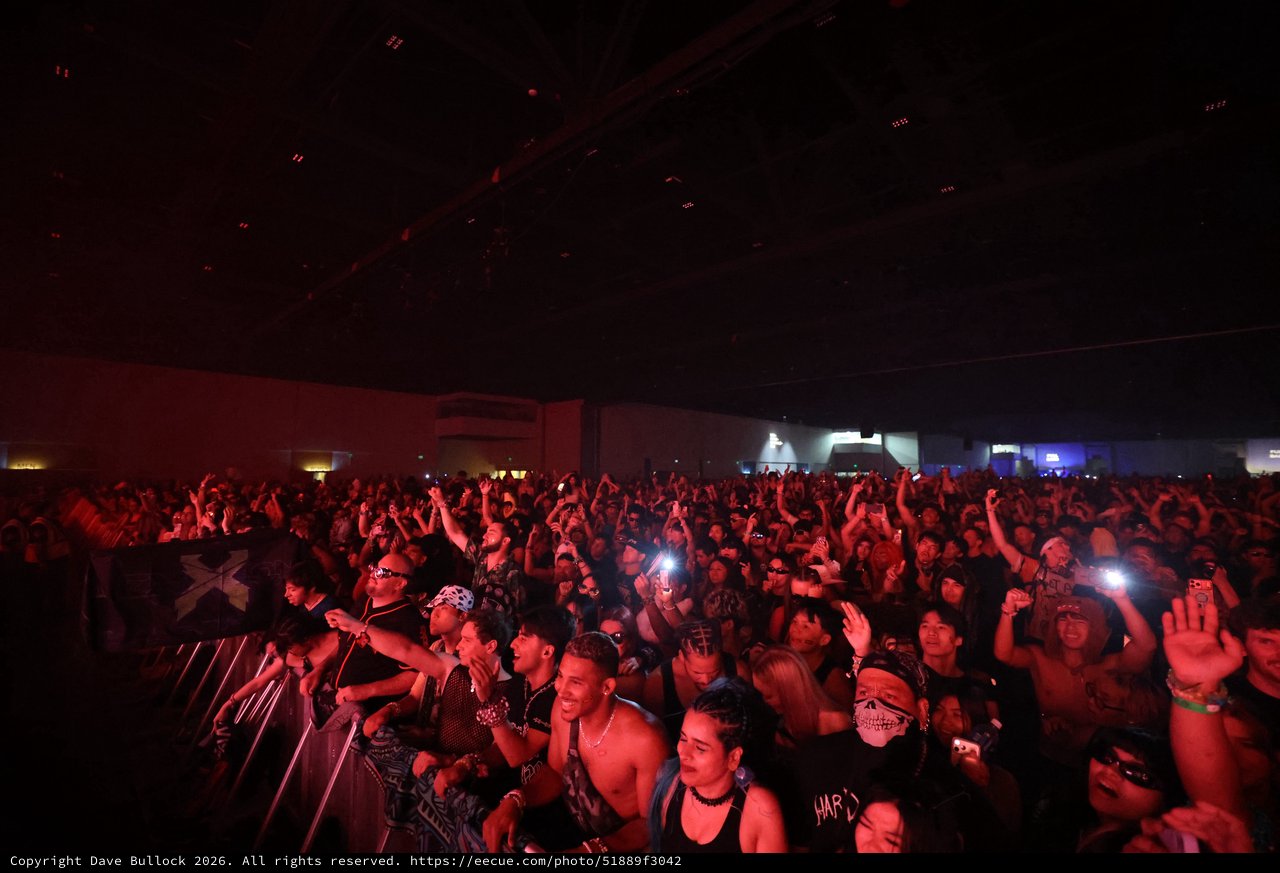 Massive Crowd Surges at Wobbleland 2026 Festival