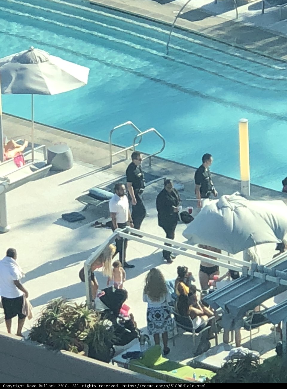 A Sunny Day by the Pool