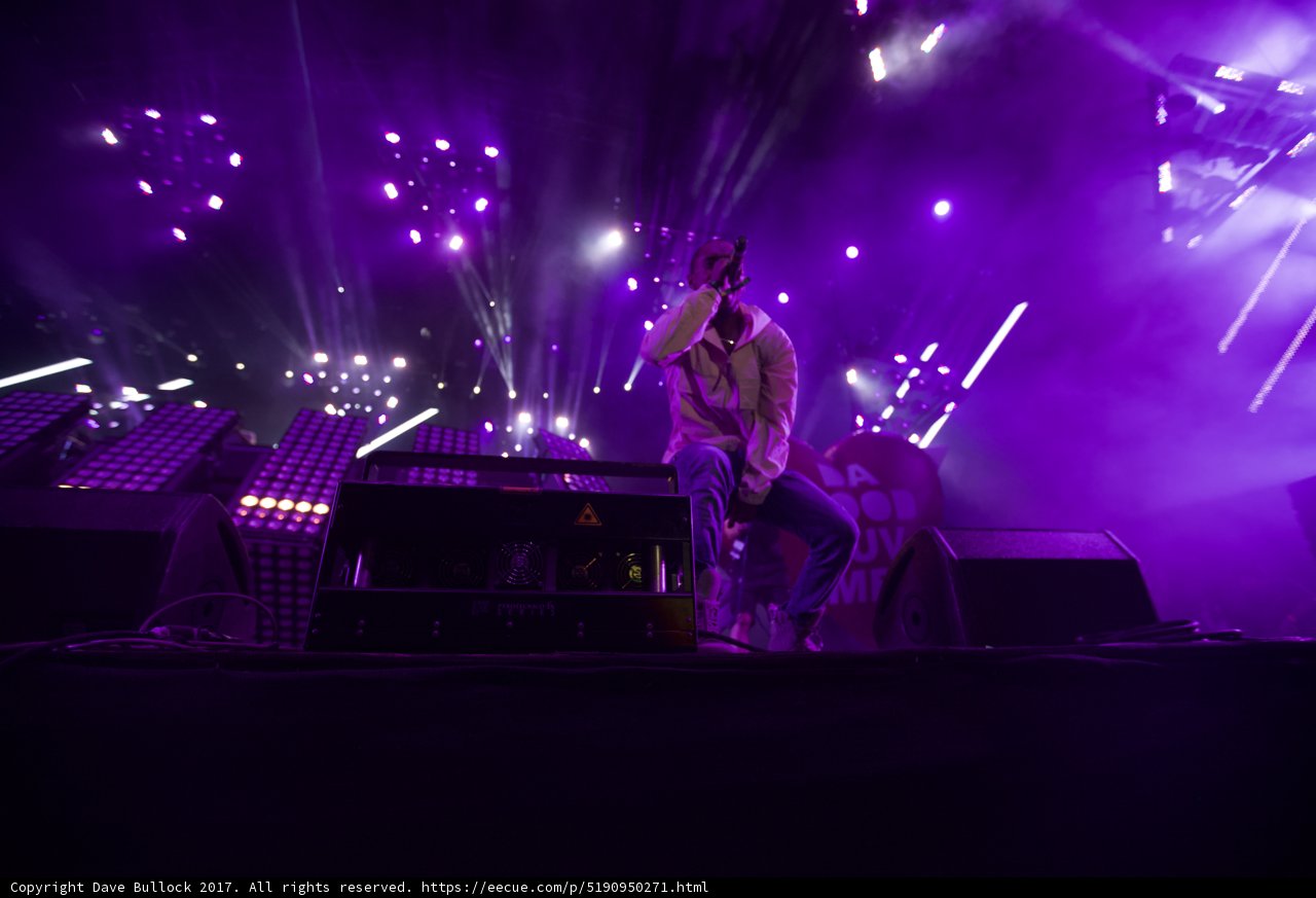 Purple Haze Performance
