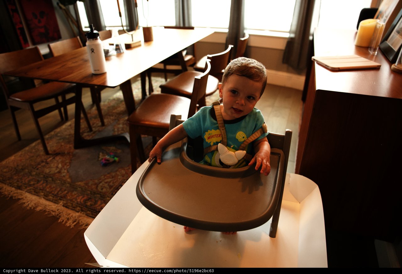 Wesley's First Birthday Bash