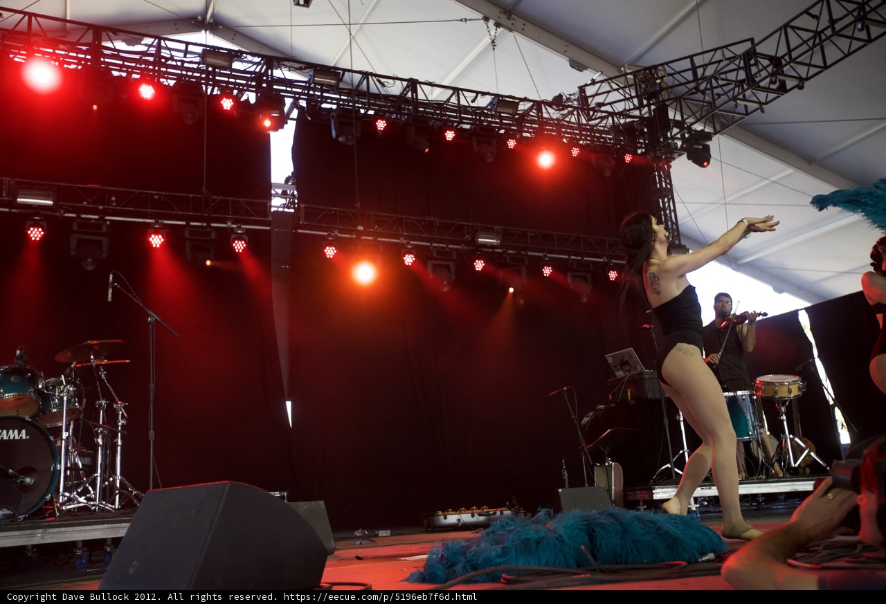 Feathered Performer Takes the Stage