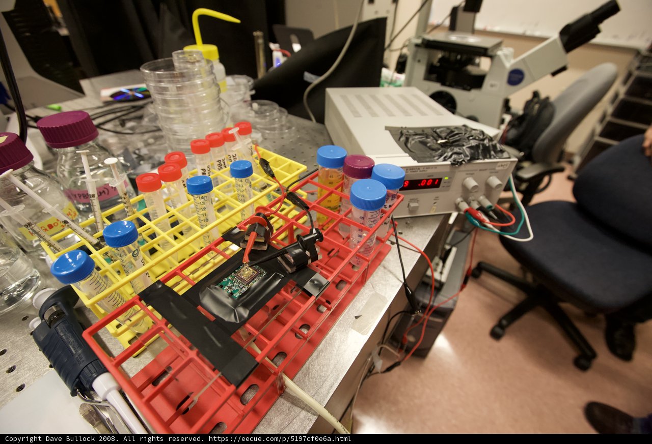 Chemicals in the Lab