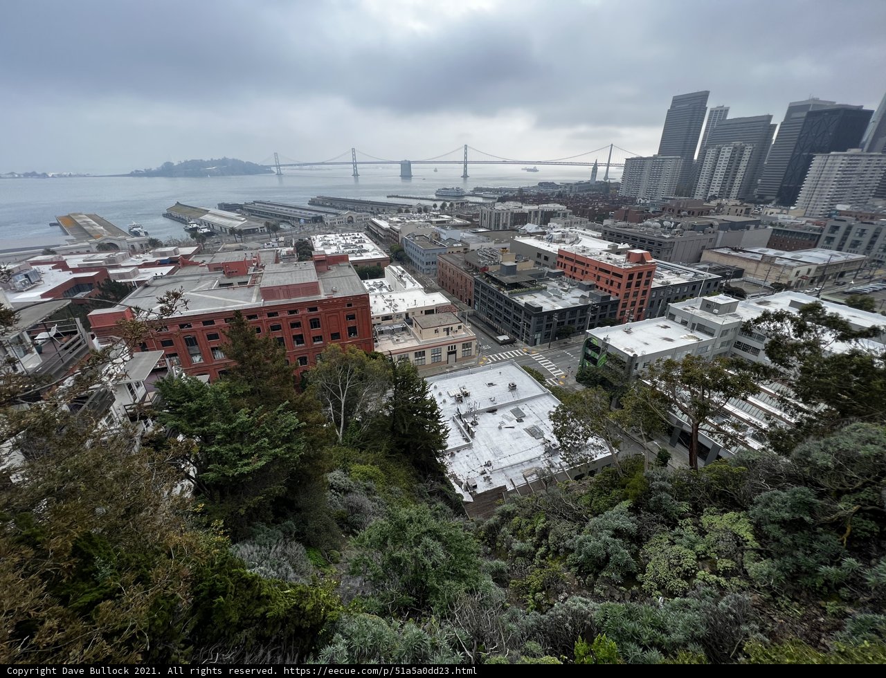 Scenic Cityscape from a Hilltop in San Francisco