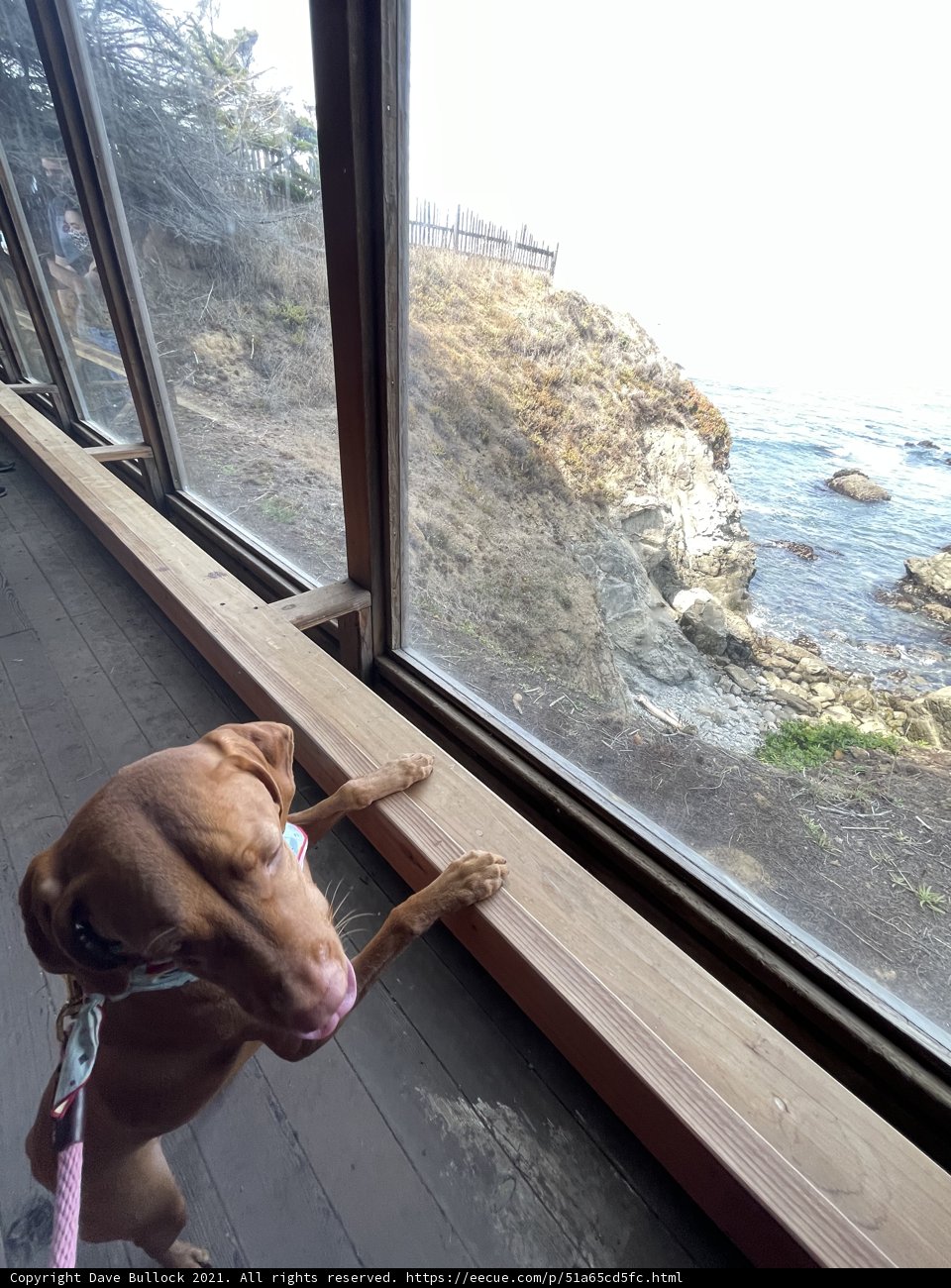 Window to the Ocean
