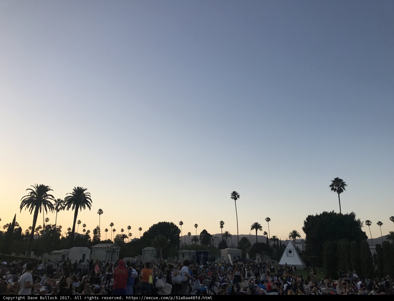 Palm Trees, People, & Music in the Park