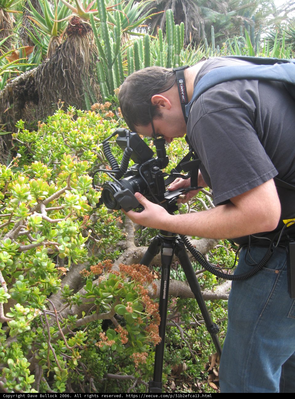 Capturing Nature's Beauty