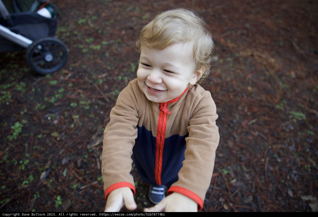 Joyful Moments at Thistlewyck