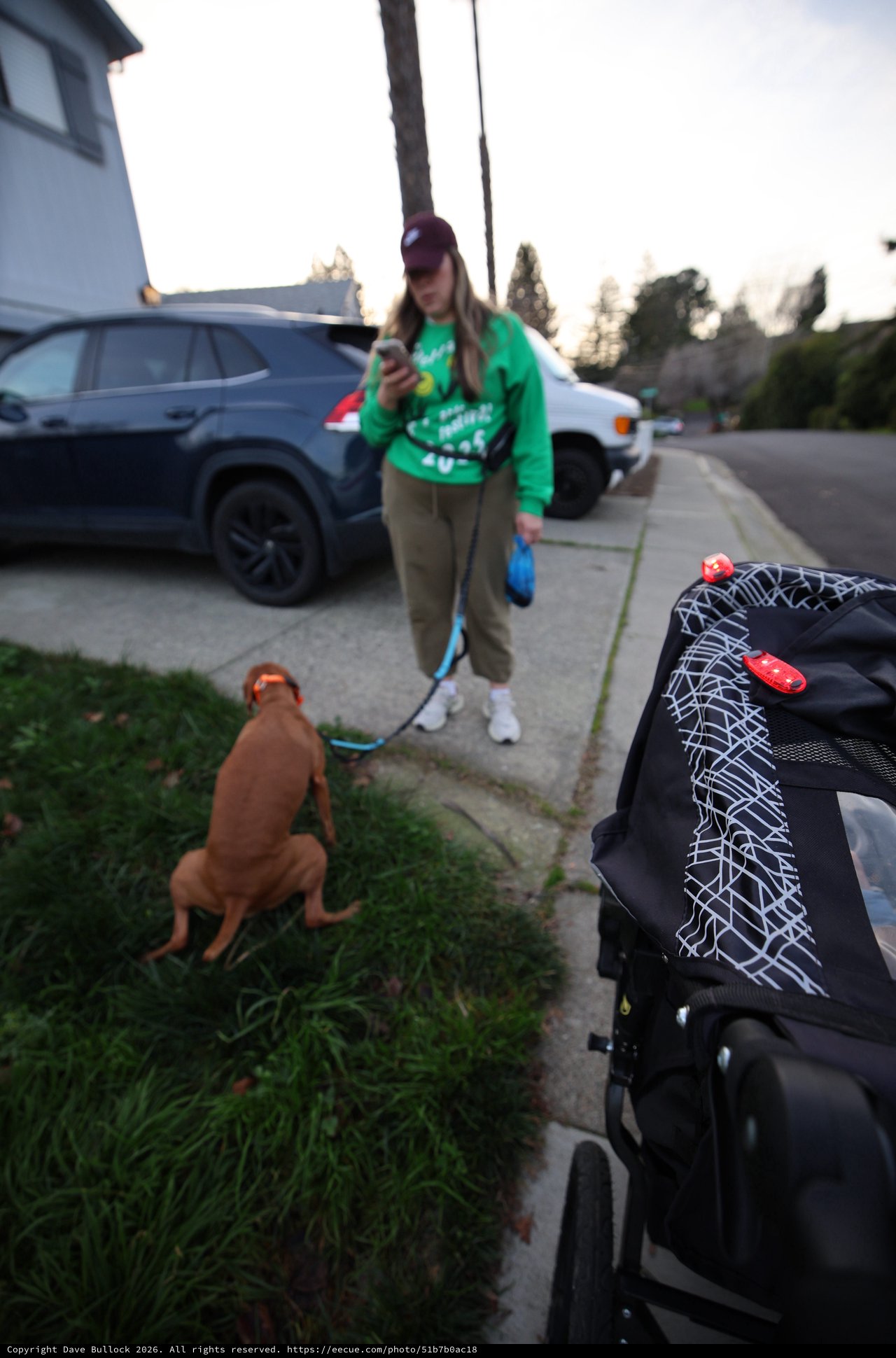 Evening Dog Walk with Stroller in Suburban Neighborhood