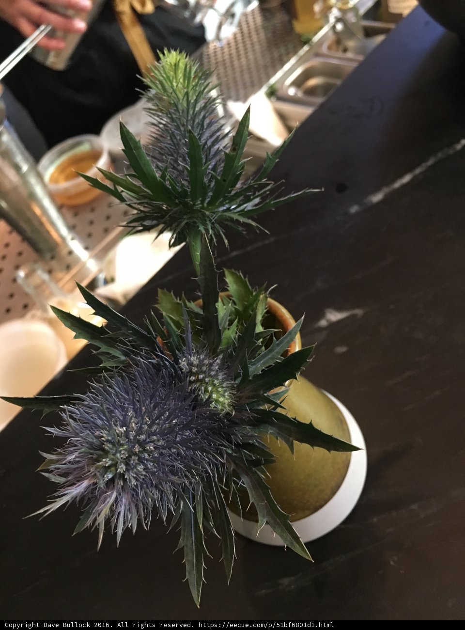 Purple Thistle Flower Arrangement
