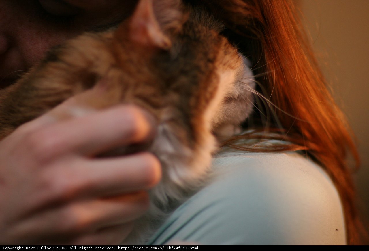 Woman with Abyssinian Kitten