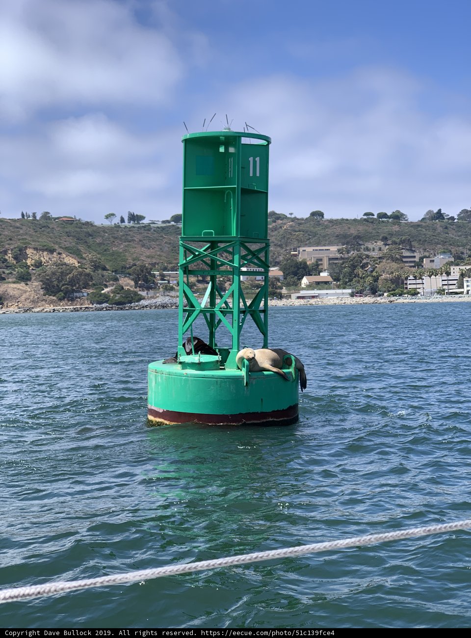 The Green Buoy off the Coast of San Diego