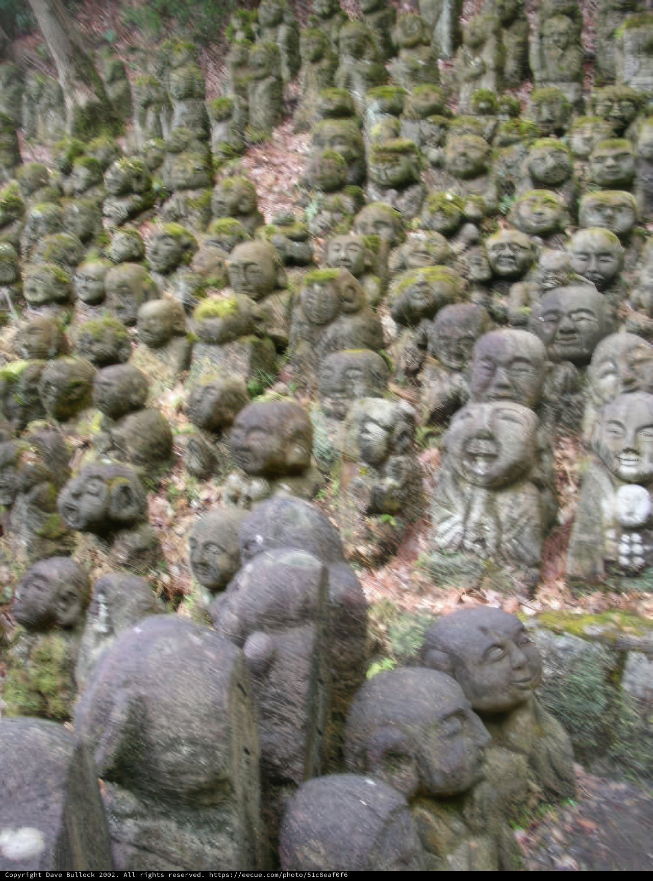 The Stone Sheep Statues of the Forest