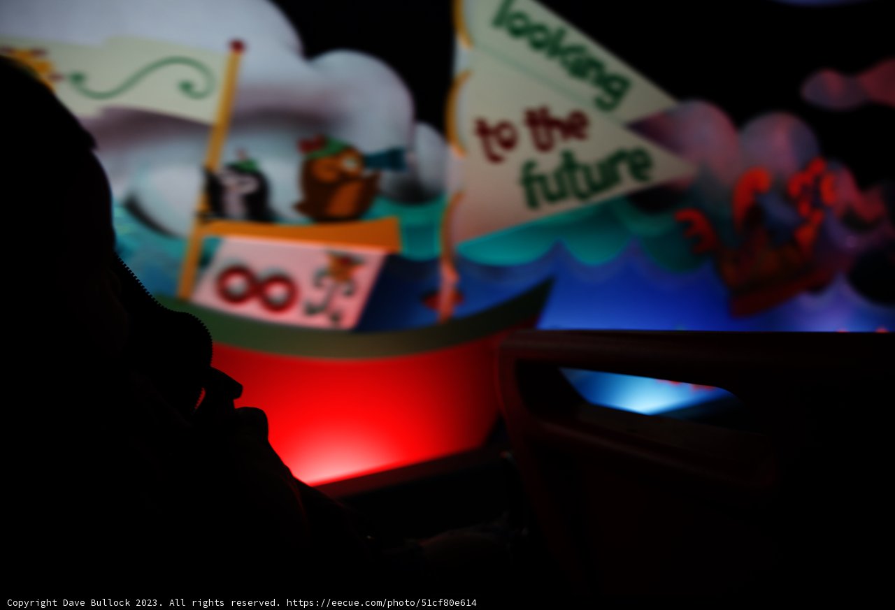 A Magical Moment at Disneyland